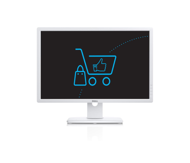 DELL 24'' U2412MWh 210-AJUX Biały - 373658 - zdjęcie